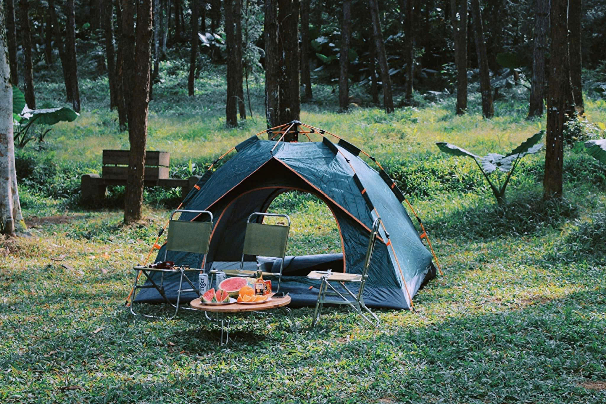 Du khách đến đây có thể trải nghiệm nhiều hoạt động như cắm trại